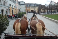 Kutschfahrt Weimar Stadtrundfahrt