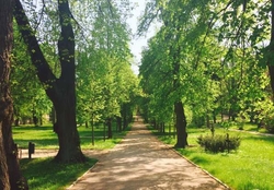 Historischer Friedhof